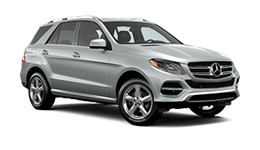 GLE