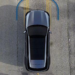 All-around vision