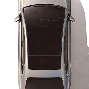 Standard Panorama roof